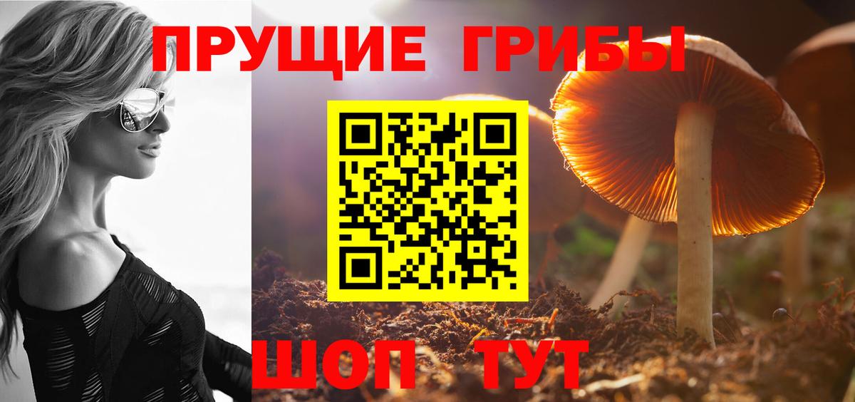 Скопин  Псилоцибиновые грибы Psilocybe  Вход с VPN 